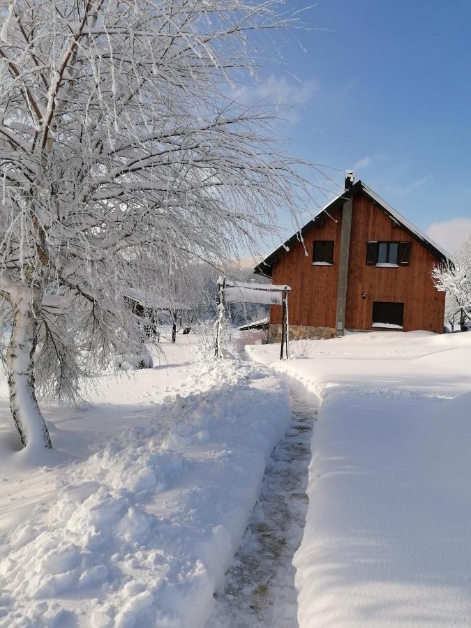 Отель House Izvor Езерца Экстерьер фото